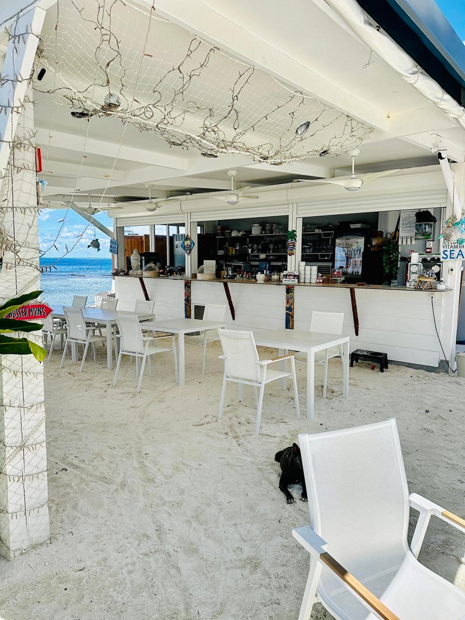 אוטורואה Pension Irivai Appartement Puatou 1 Chambre Bord De Mer מראה חיצוני תמונה